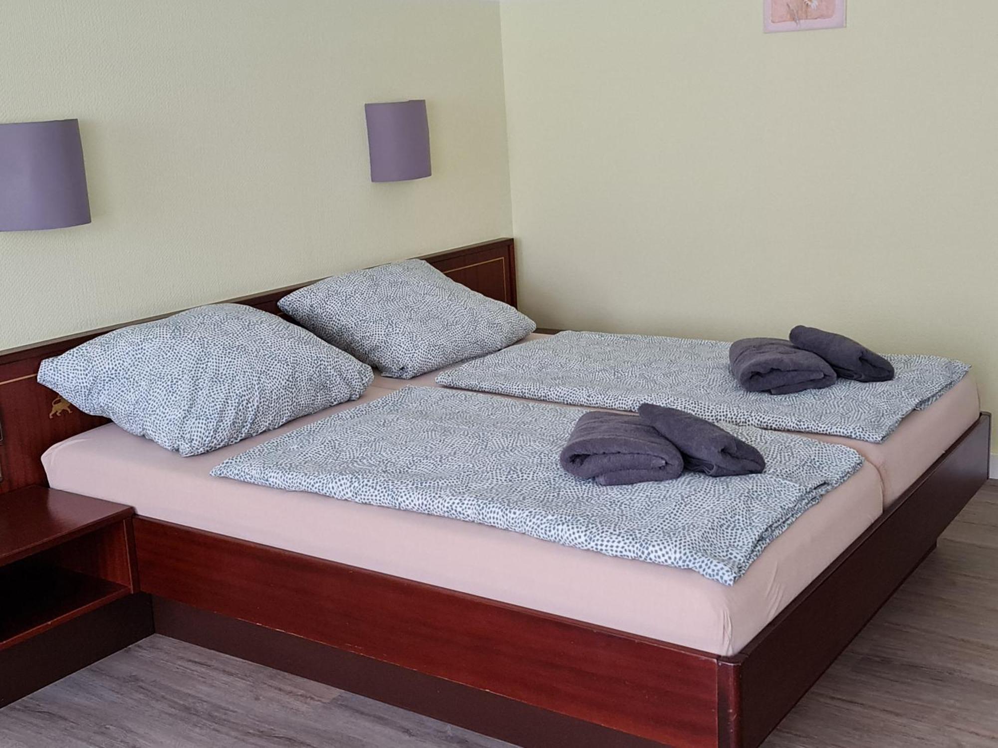 Hotel Goldener Loewe Zeulenroda-Triebes المظهر الخارجي الصورة